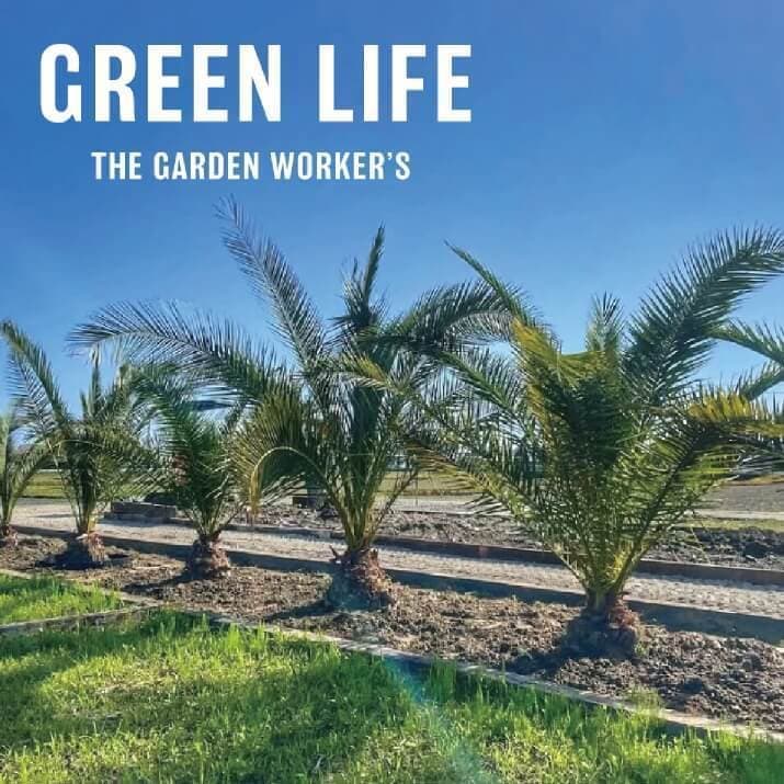 Green Life